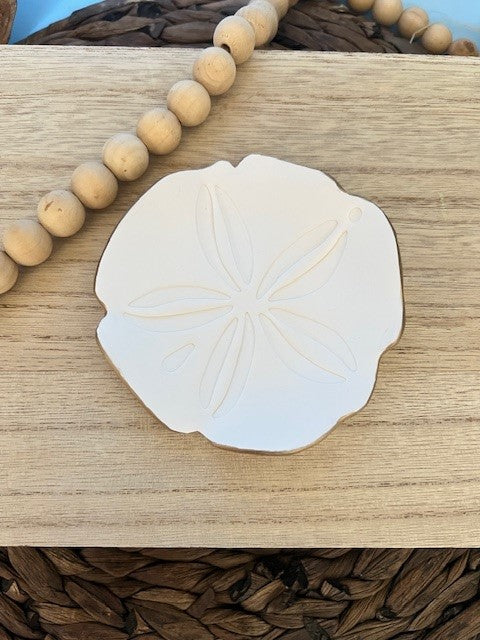 Sand dollar trinket dish